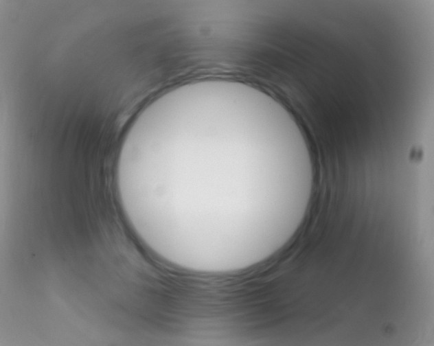X0000113200508200909100925