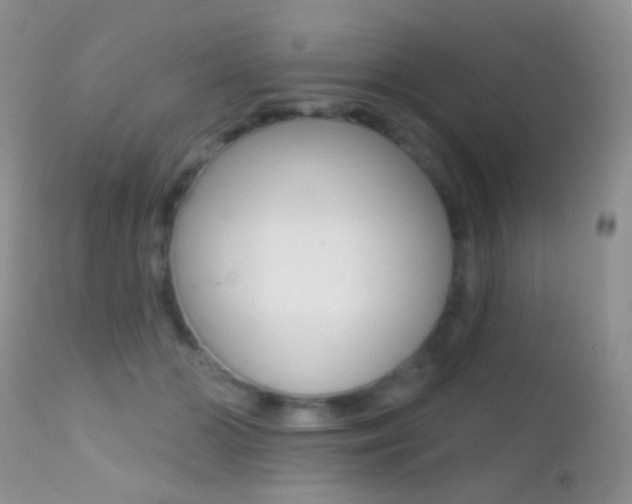 X0000113200510200909100925