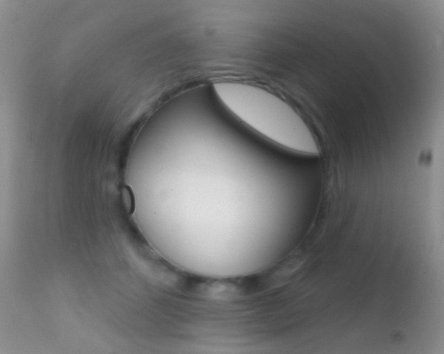 X0000113200512200909100925