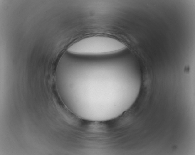 X0000113200515200909100925
