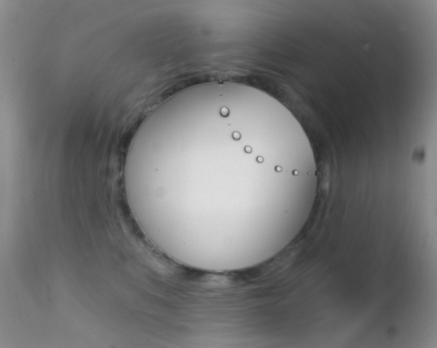 X0000113200519200909100925