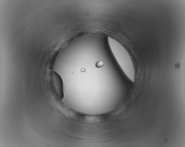 X0000113200520200909100925