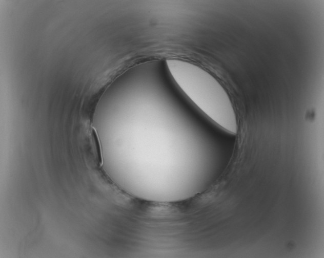 X0000113200521200909100925