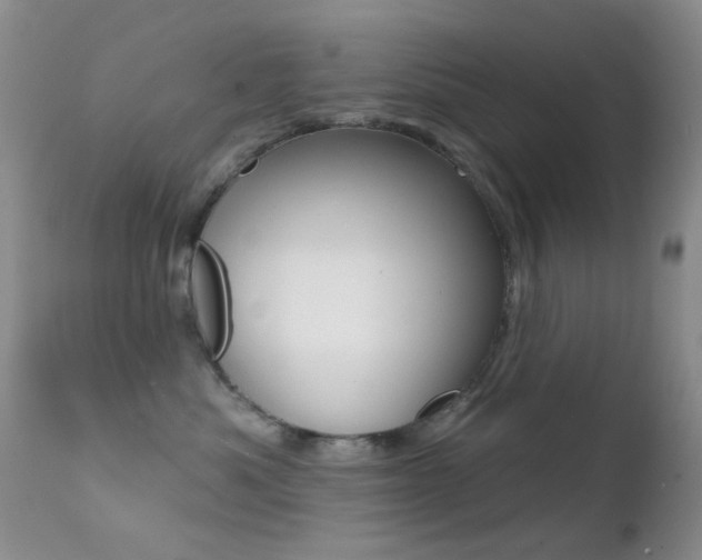 X0000113200525200909100925