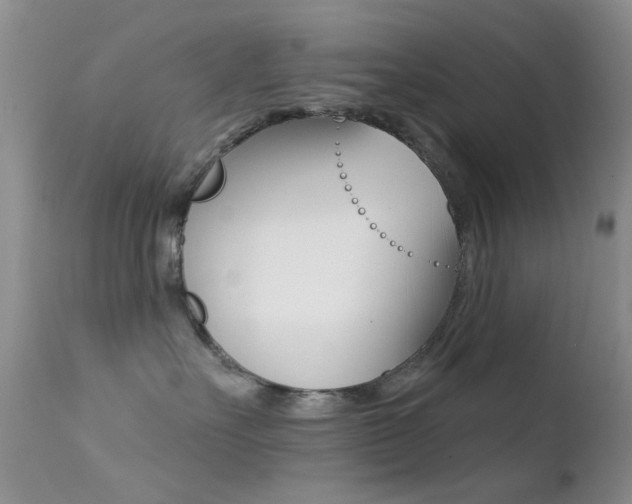 X0000113200527200909100925