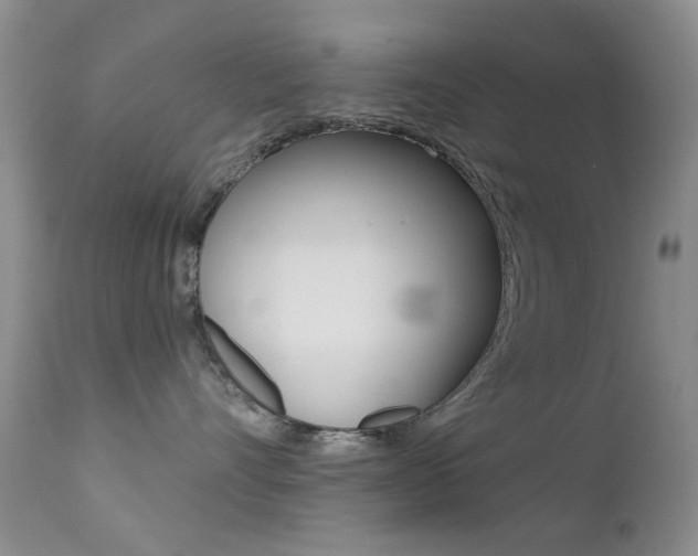 X0000113200528200909100925