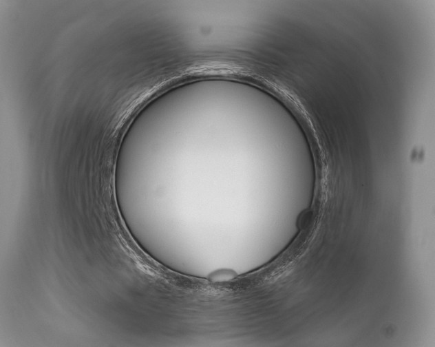 X0000113200529200909100924