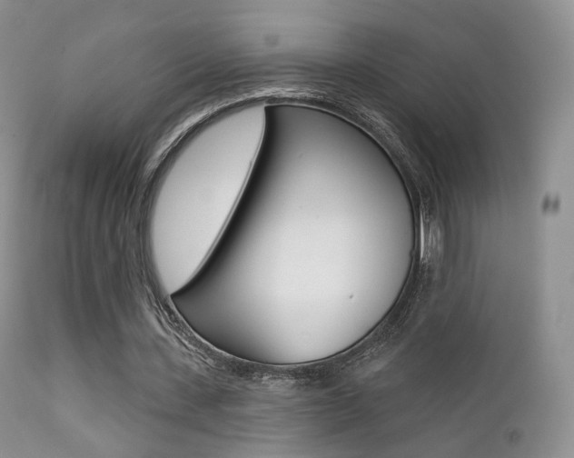 X0000113200531200909100924