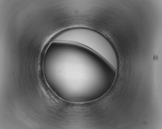 X0000113200532200909100924