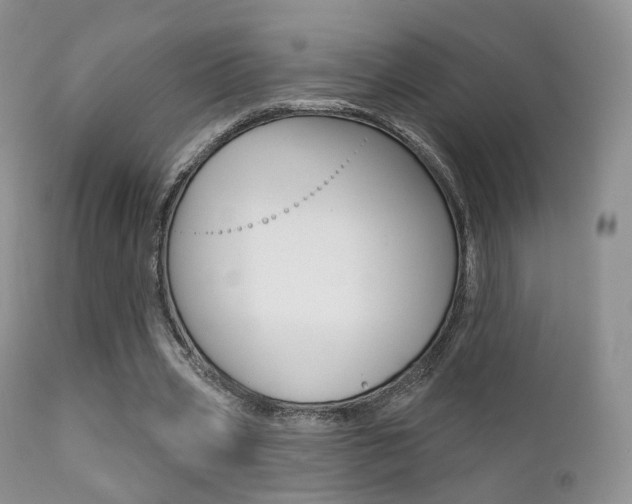 X0000113200533200909100924