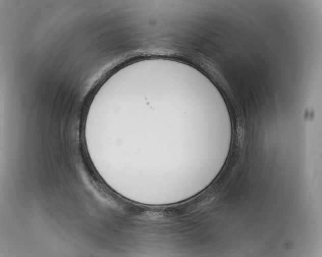 X0000113200534200909100924