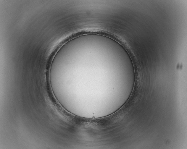 X0000113200535200909100924