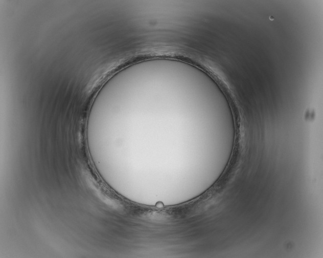 X0000113200537200909100924