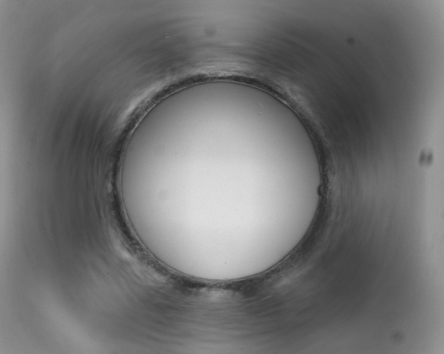 X0000113200539200909100924