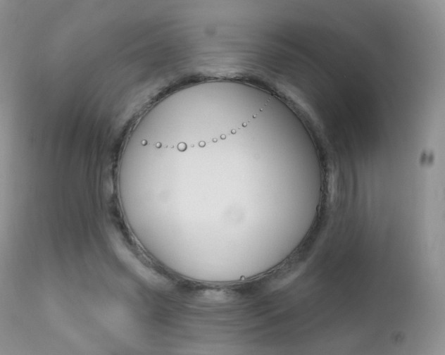 X0000113200541200909100924