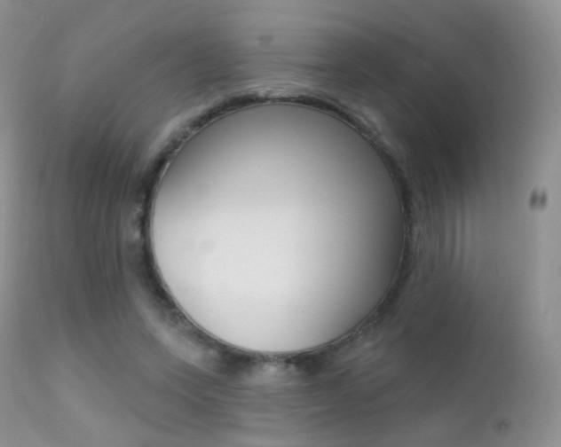 X0000113200543200909100924
