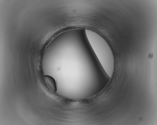 X0000113200544200909100924