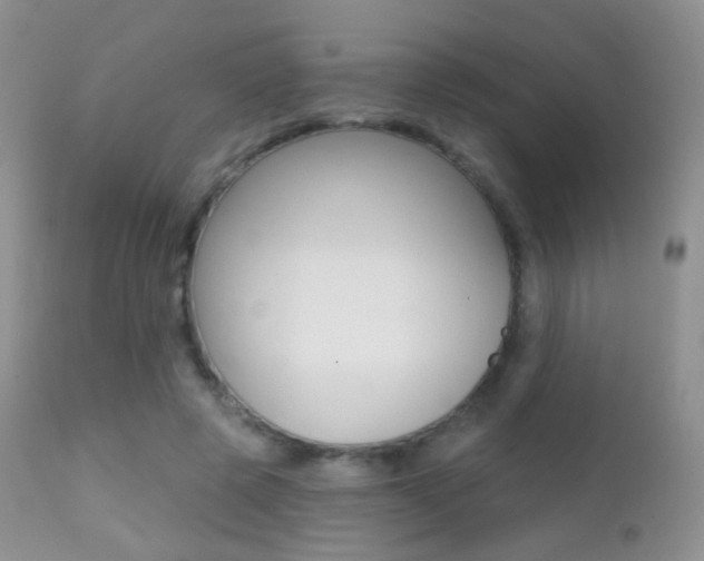 X0000113200545200909100924
