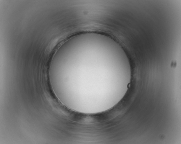 X0000113200547200909100924