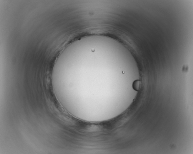 X0000113200549200909100924