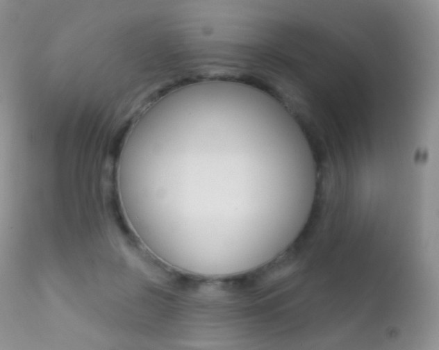 X0000113200550200909100924
