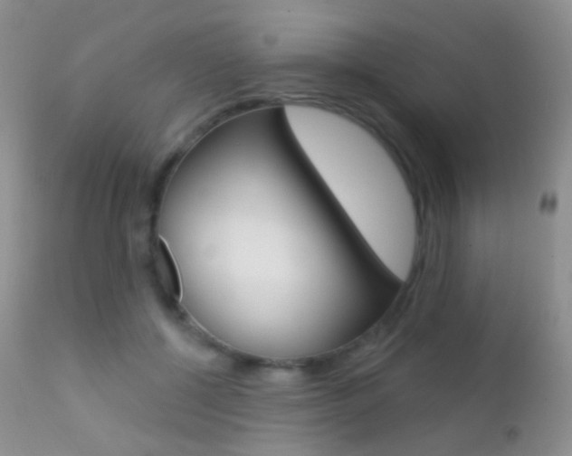 X0000113200552200909100924