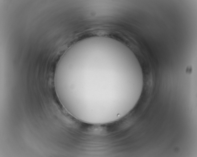 X0000113200553200909100924
