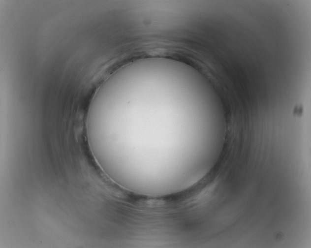 X0000113200554200909100924