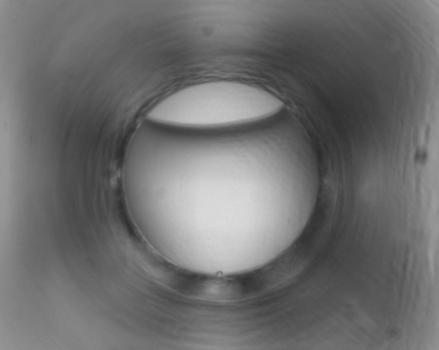 X0000113200555200909100924