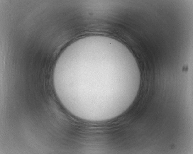X0000113200556200909100924