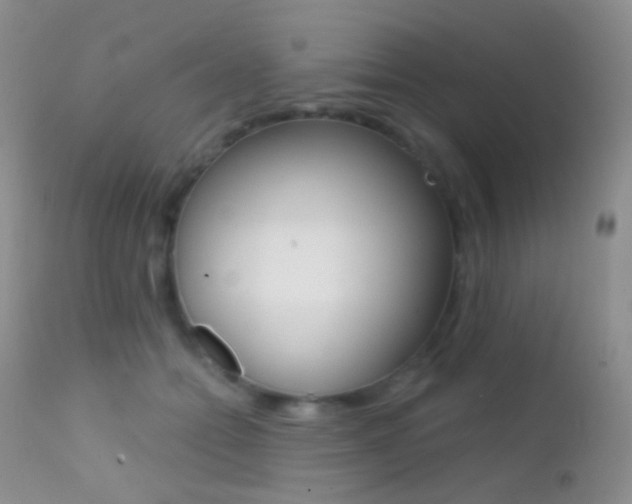 X0000113200558200909100925
