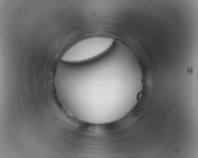 X0000113200559200909100925