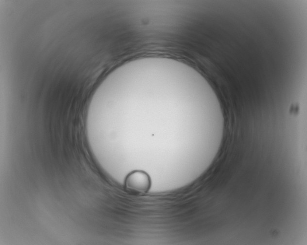 X0000113200560200909100925
