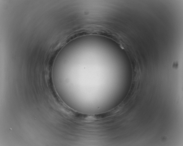 X0000113200562200909100925