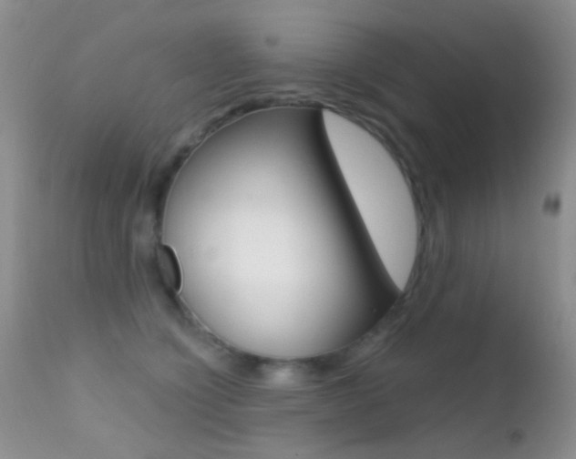 X0000113200564200909100925