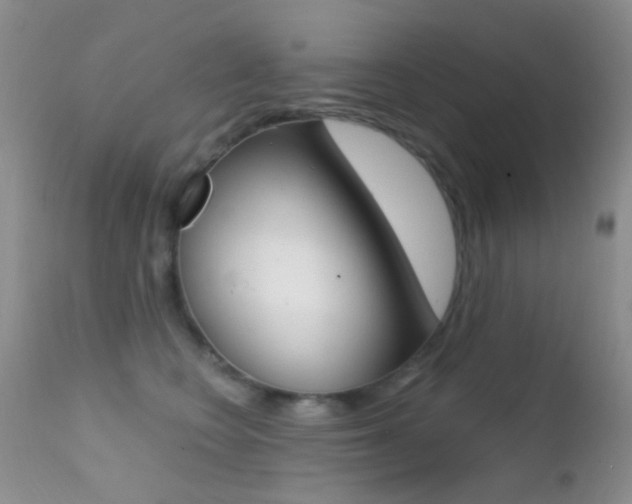 X0000113200566200909100925