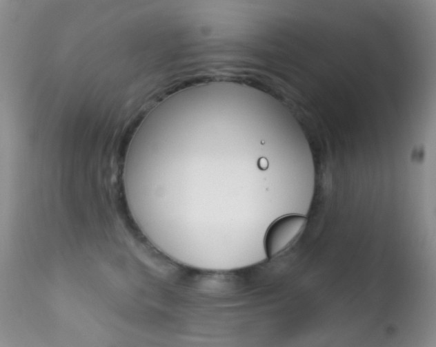 X0000113200567200909100925