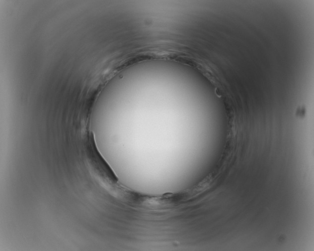 X0000113200568200909100925