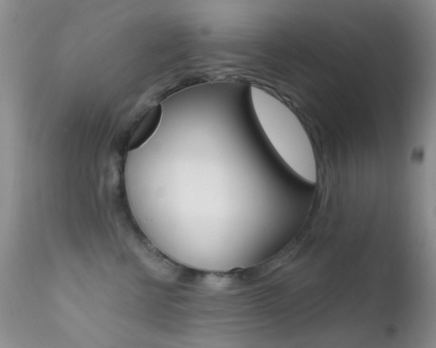X0000113200570200909100925