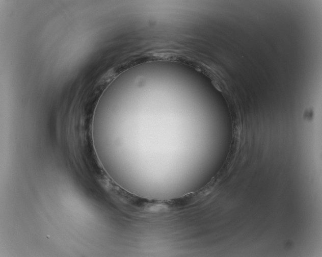 X0000113200572200909100925