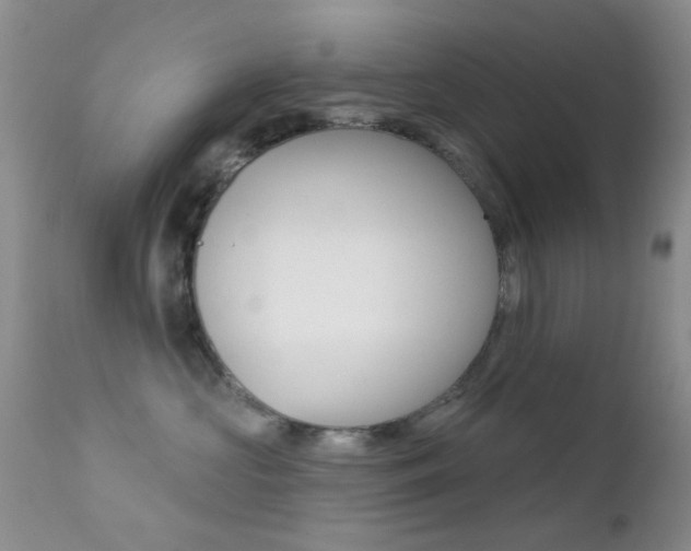 X0000113200573200909100925