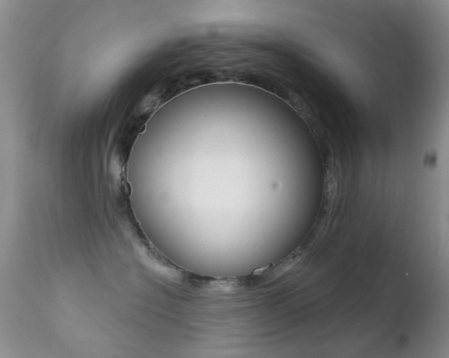 X0000113200574200909100925
