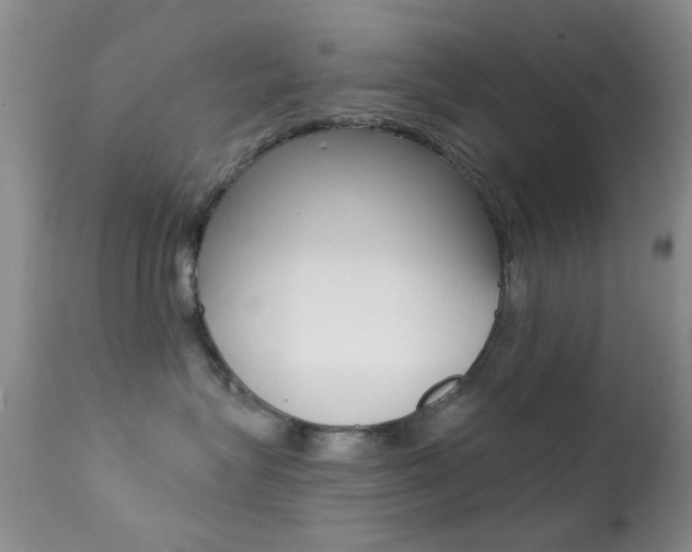 X0000113200575200909100925