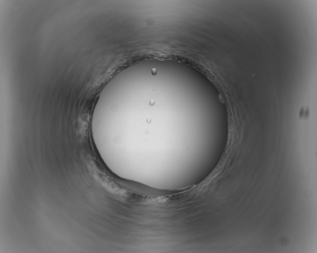 X0000113200576200909100925