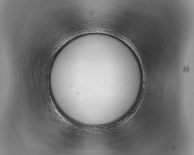 X0000113200577200909100924