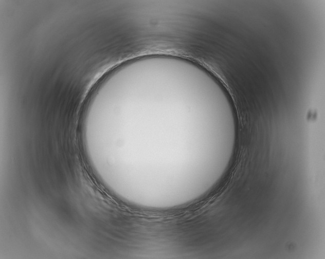 X0000113200579200909100924