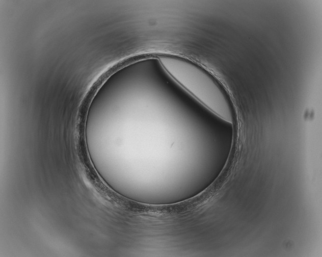 X0000113200580200909100924