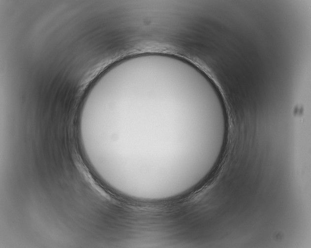 X0000113200581200909100924