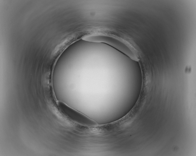 X0000113200585200909100924