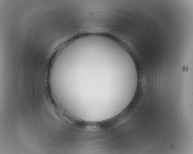 X0000113200591200909100924